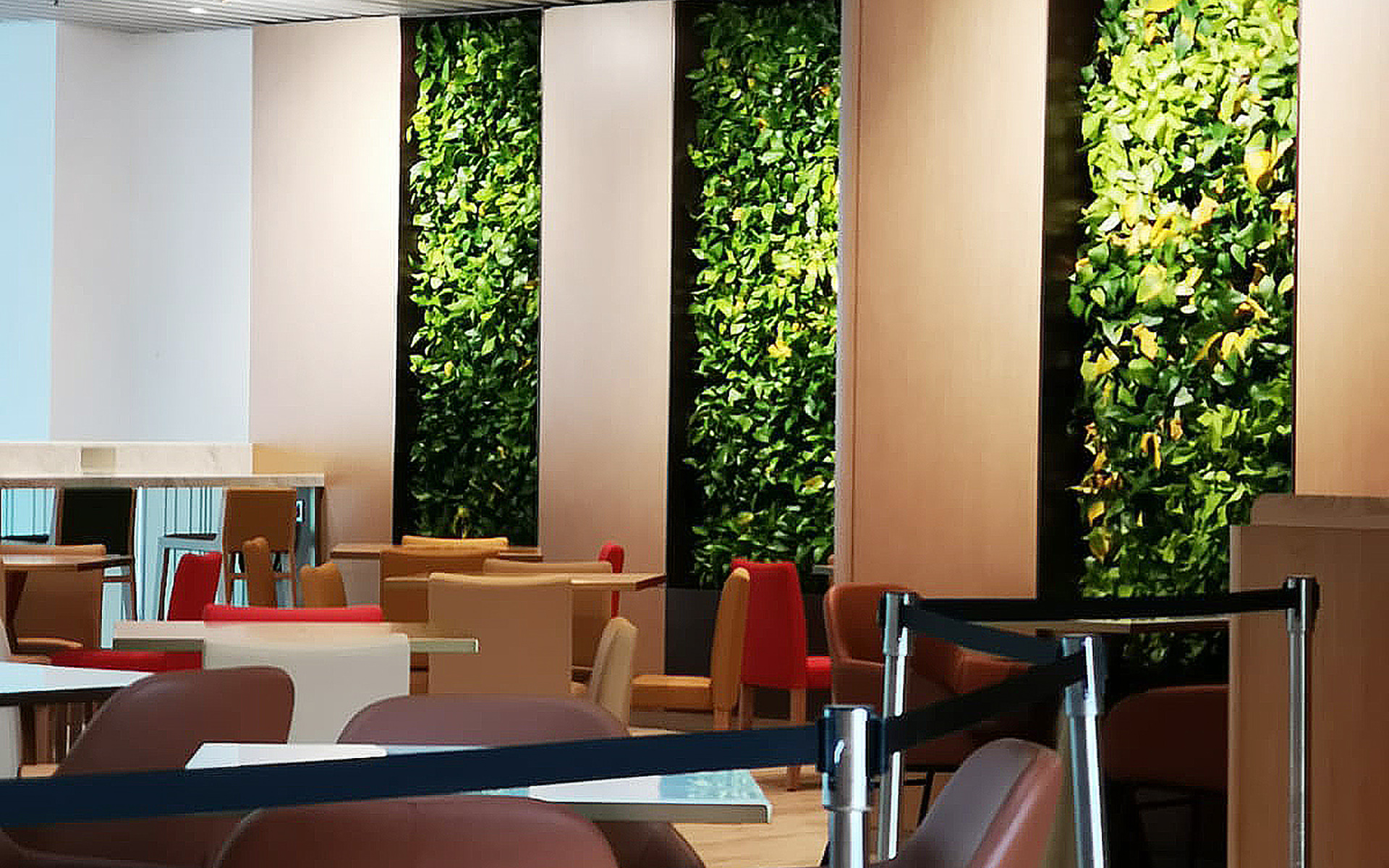 Vegetarian Food Options